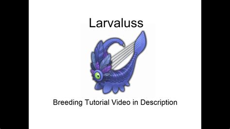Larvaluss breeding time